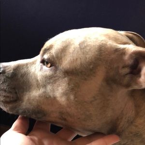 Meet your Posher, Katrina